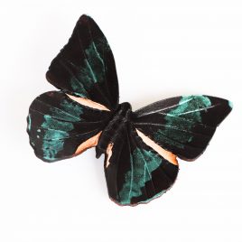 Haarspange Haarclip Falter Insekt Schmetterling schwarz grün Glanz realistisch Echtleder
