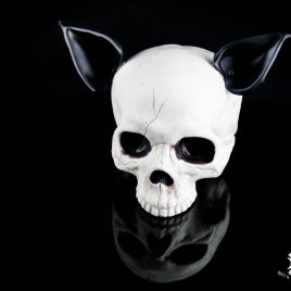 Ohren Öhrchen Clip Ear Hairclip Fledermausohren Fledermaus Bat Batears schwarz